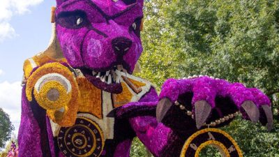 Bloemencorso 2024 Lichtenvoorde 8 Copy001 2