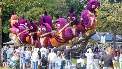Bloemencorso 2024 Lichtenvoorde 9 Copy001