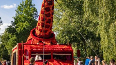 Bloemencorso Lichtenvoorde 14