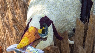 Bloemencorso Lichtenvoorde 19