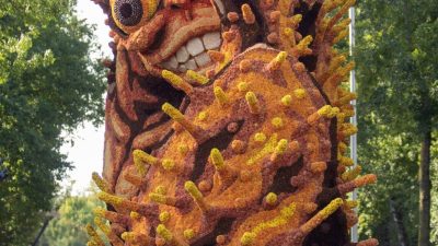 Bloemencorso Lichtenvoorde 20