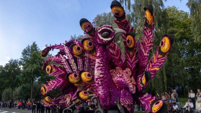 Bloemencorso Lichtenvoorde 24