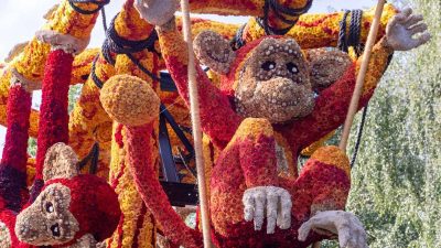 Bloemencorso Lichtenvoorde 26