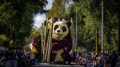 Bloemencorso Lichtenvoorde 3