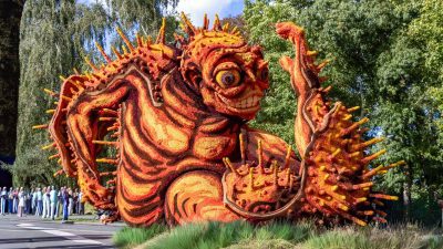 Bloemencorso Lichtenvoorde 6