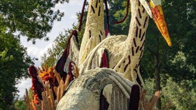 Bloemencorso Lichtenvoorde 9