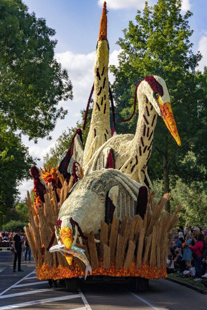 Bloemencorso Lichtenvoorde 9