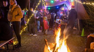 Midwinterhoornwandeling Groenlo 28