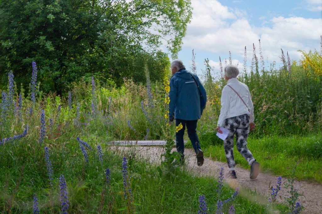 Midzomerwandeling Groenlo 2024 (6)