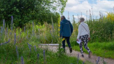 Midzomerwandeling Groenlo 2024 (6)