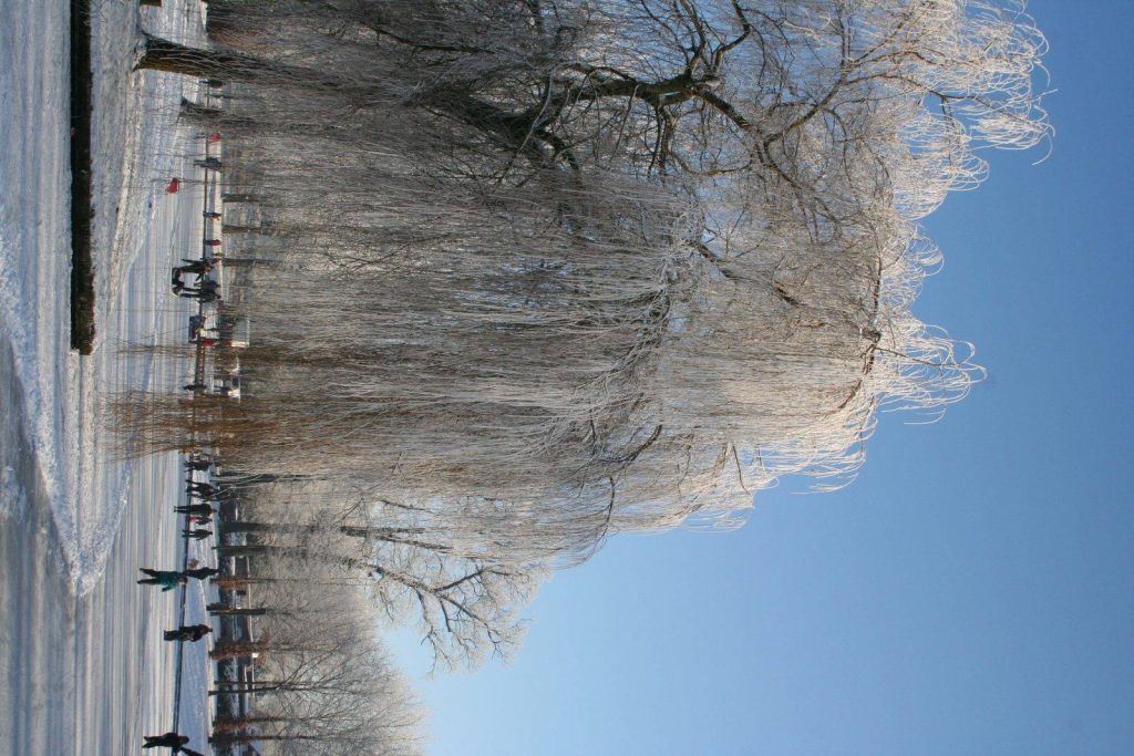 Winter In Groenlo 2009 (11)