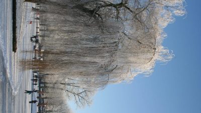 Winter In Groenlo 2009 (11)