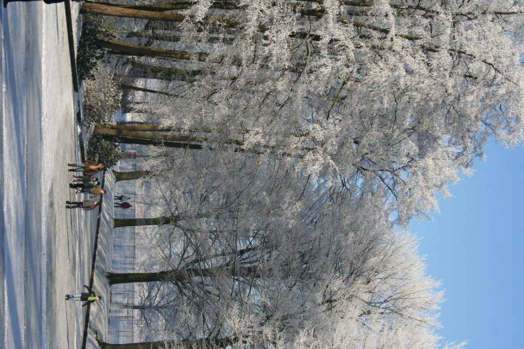 Winter In Groenlo 2009 (16)