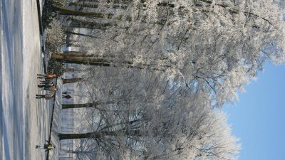 Winter In Groenlo 2009 (16)