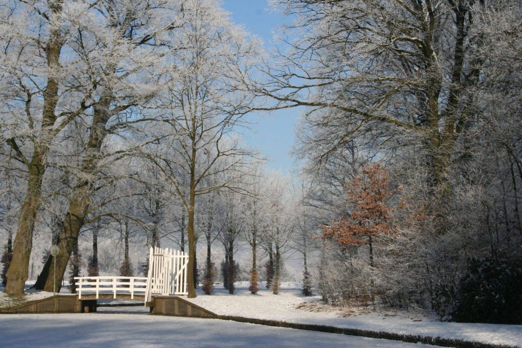 Winter In Groenlo 2009 (17)
