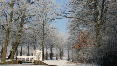Winter In Groenlo 2009 (17)