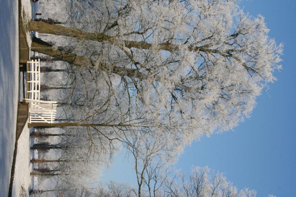 Winter In Groenlo 2009 (18)