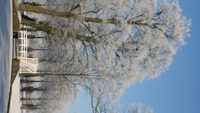Winter In Groenlo 2009 (18)