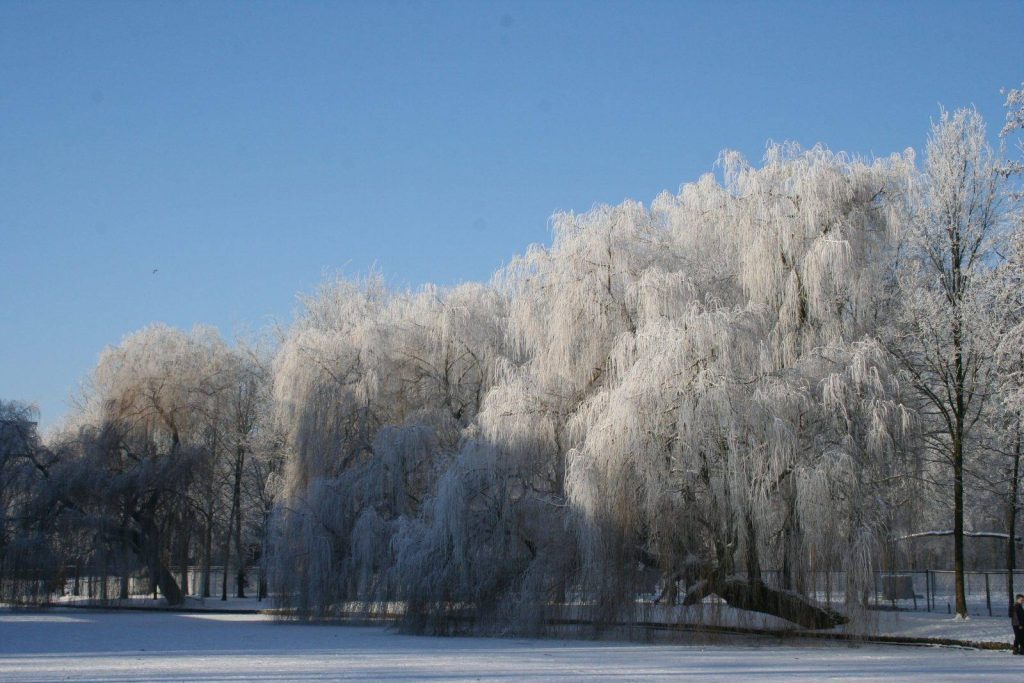 Winter In Groenlo 2009 (19)