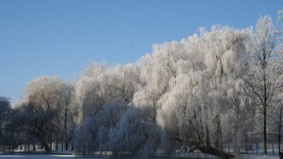 Winter In Groenlo 2009 (19)