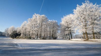 Winter In Groenlo 2009 (20)
