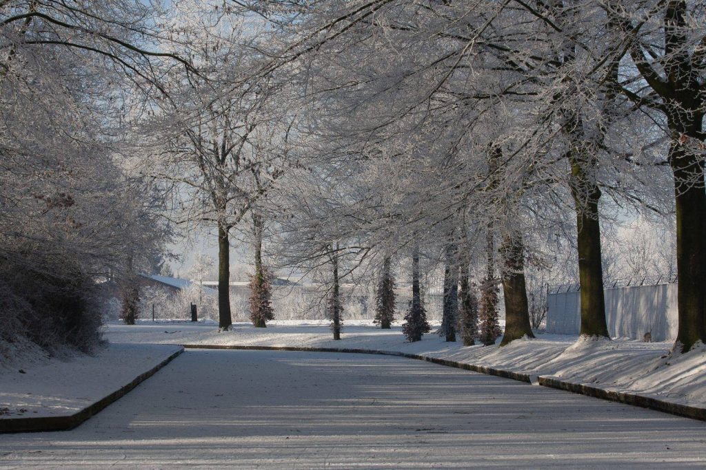 Winter In Groenlo 2009 (23)