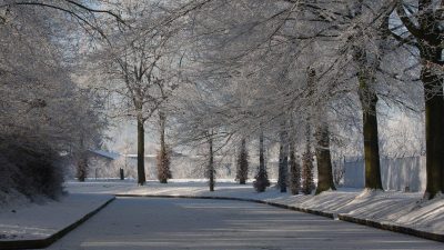 Winter In Groenlo 2009 (23)
