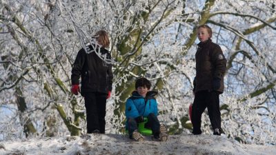 Winter In Groenlo 2009 (27)