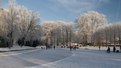 Winter In Groenlo 2009 (33)