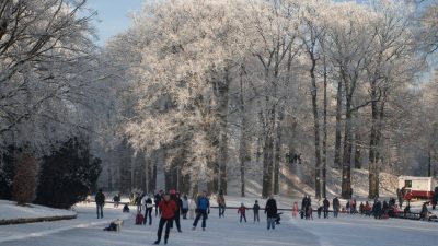 Winter In Groenlo 2009 (35)