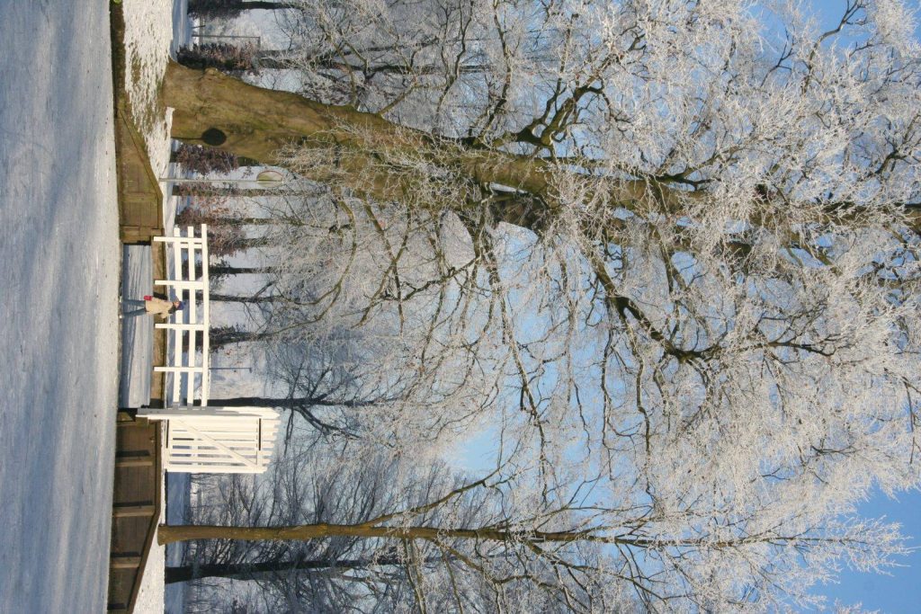 Winter In Groenlo 2009 (6)