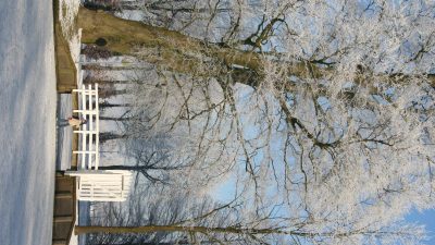 Winter In Groenlo 2009 (6)