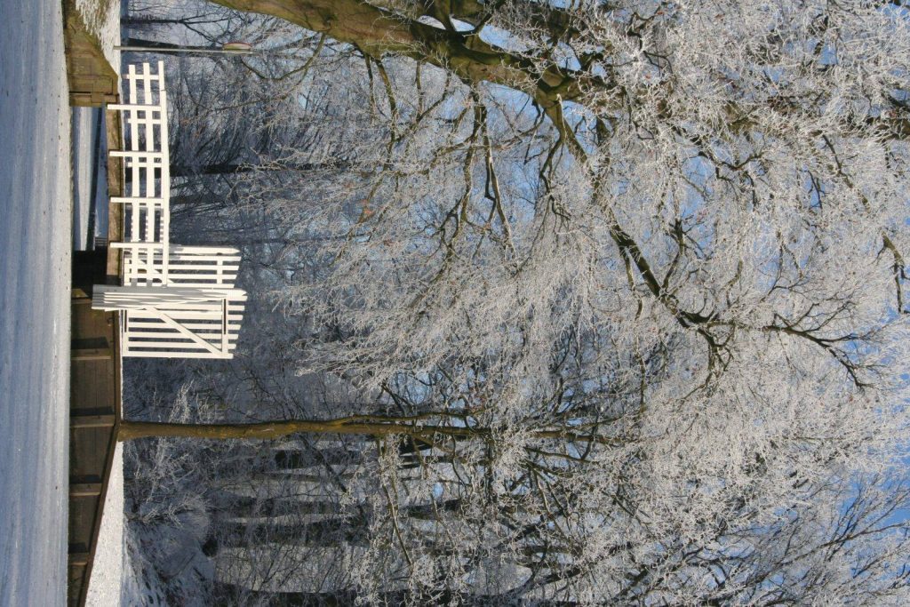 Winter In Groenlo 2009 (7)
