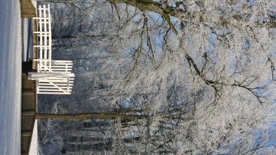 Winter In Groenlo 2009 (7)