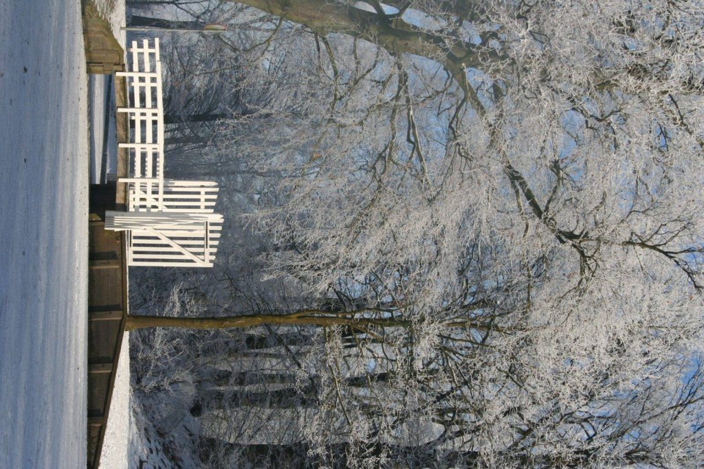 Winter In Groenlo 2009 (8)