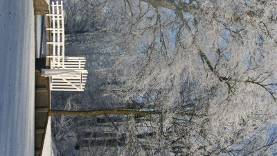 Winter In Groenlo 2009 (8)