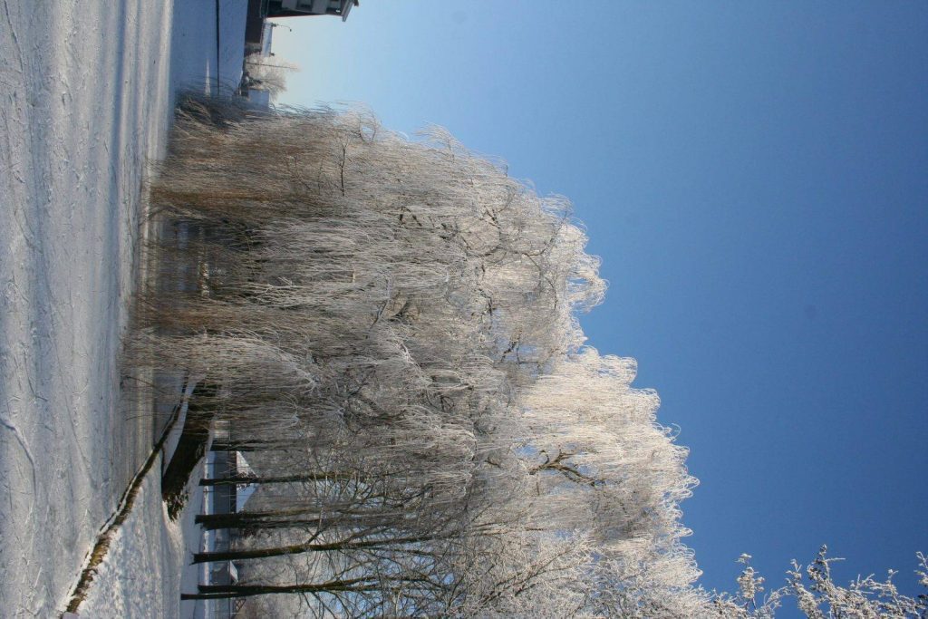 Winter In Groenlo 2009 (9)