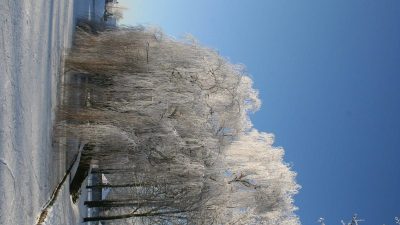 Winter In Groenlo 2009 (9)