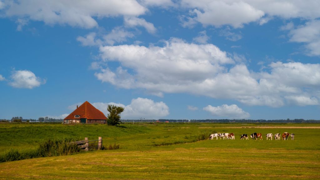 Zaanse Schans (3)