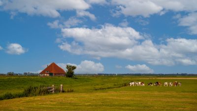 Zaanse Schans (3)