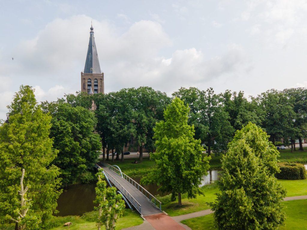 Basiliek En Kikkersprongbrug