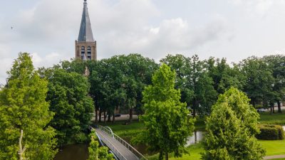 Basiliek En Kikkersprongbrug