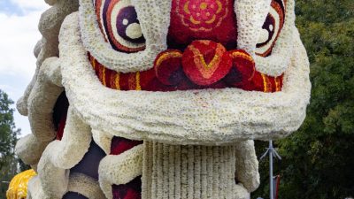 Bloemencorso Lichtenvoorde (11)