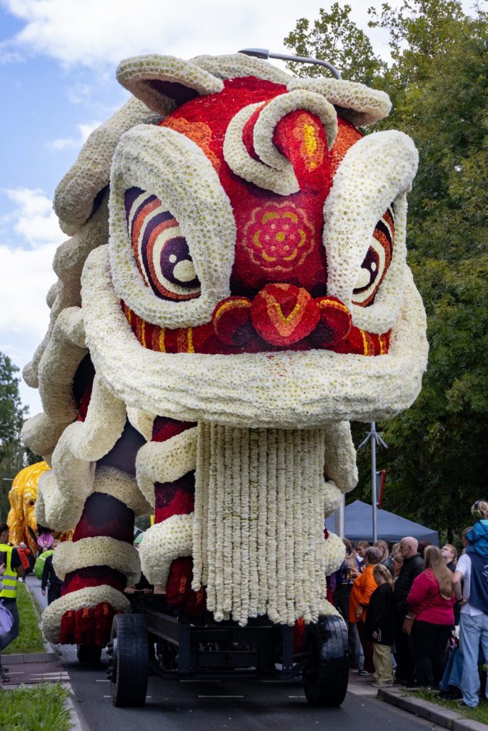 Bloemencorso Lichtenvoorde (11)