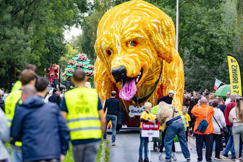 Bloemencorso Lichtenvoorde (14)