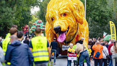Bloemencorso Lichtenvoorde (14)