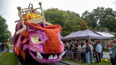 Bloemencorso Lichtenvoorde (16)
