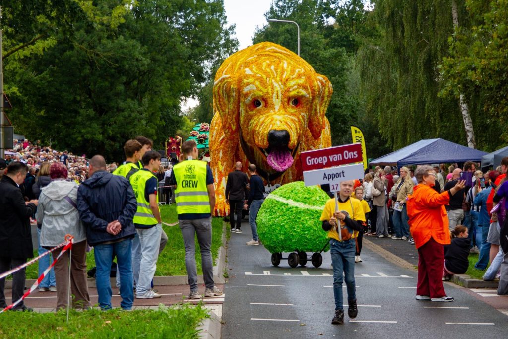 Bloemencorso Lichtenvoorde (21)