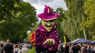 Bloemencorso Lichtenvoorde (25)
