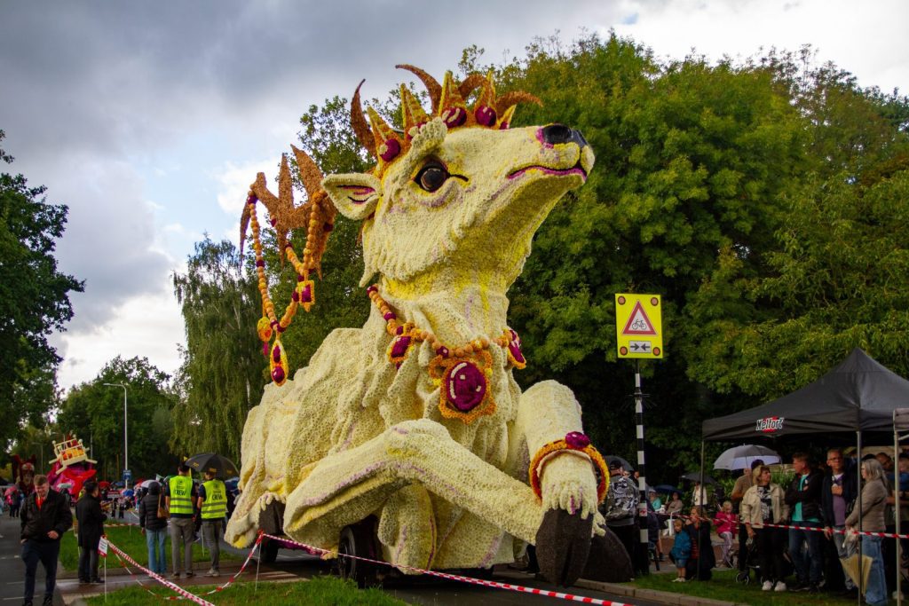 Bloemencorso Lichtenvoorde (28)